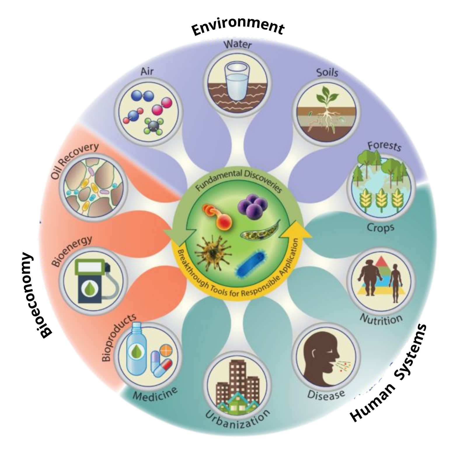 Microbiome research culture in petri dish